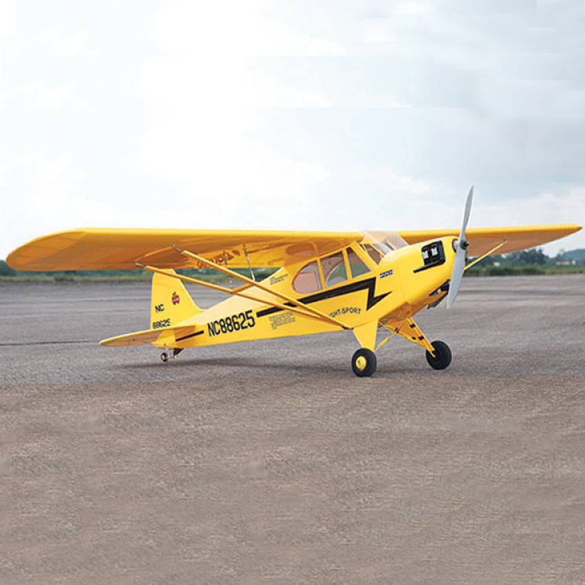 seagull piper cub
