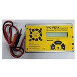 Pro Peak Charger (supernova 250s)