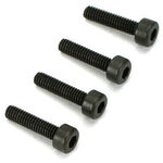 Cap screws dub socket head 2.5mm x 6 (4)