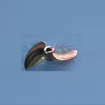 Prop haoye 4.70x5mm 2blade boat ssteel