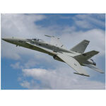 Kit fwing f-18c hornet pnp grey