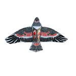 Kite nylon (bird)