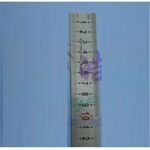 Ruler haoye (stainless steel) 300mm