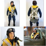 Warbird pilot wwii british raf 1/5-1/6